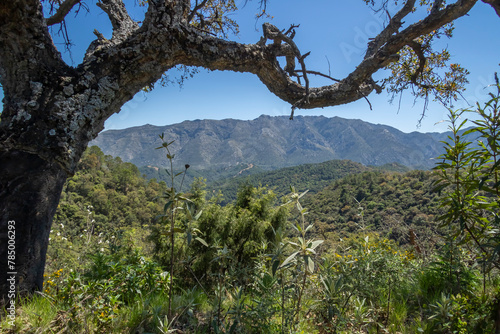 Landscape of Sierra de las Nieves  photo