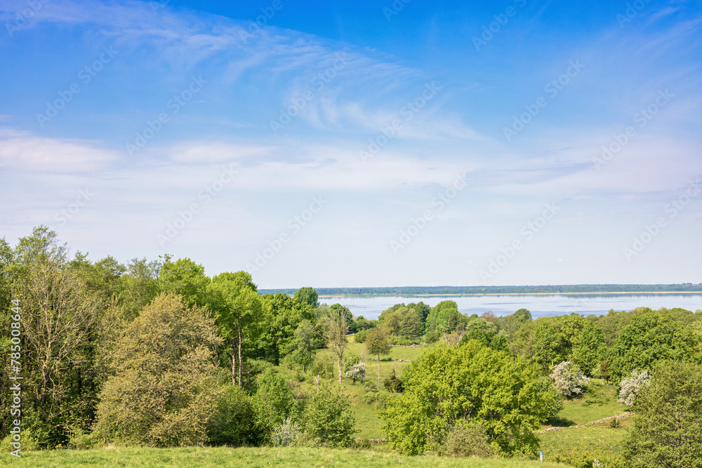 Landscape view over a deciduous forest and a lake in the horizon