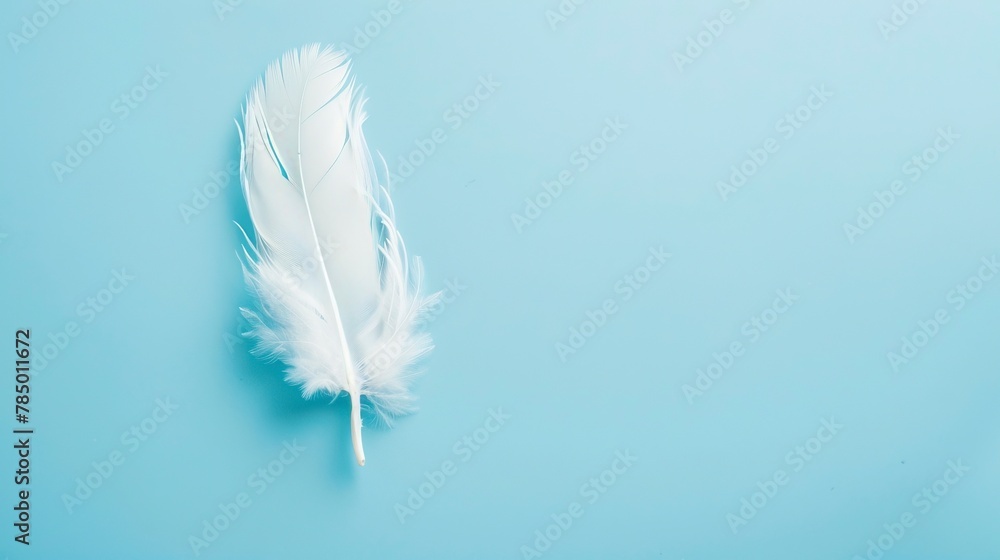 Obraz premium White Feather