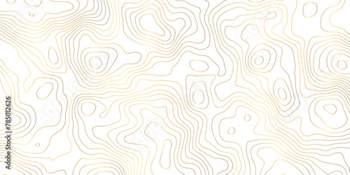 Golden strokes topology map contour topography texture vector