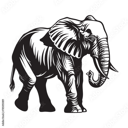 Vector illustration of elephant isolated on white background © Hera