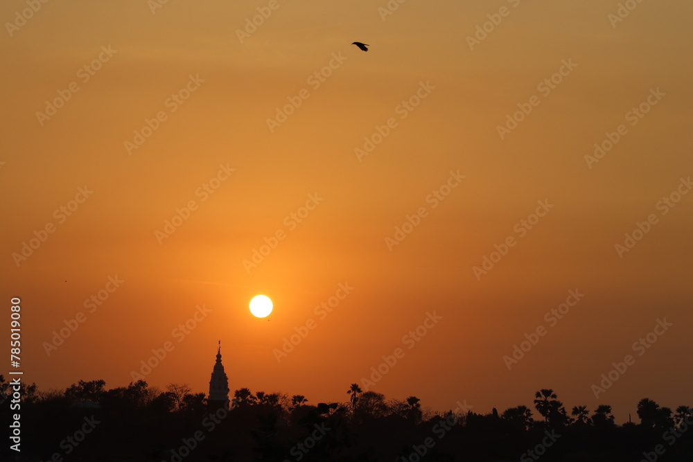 A nature with a flying bird and sun