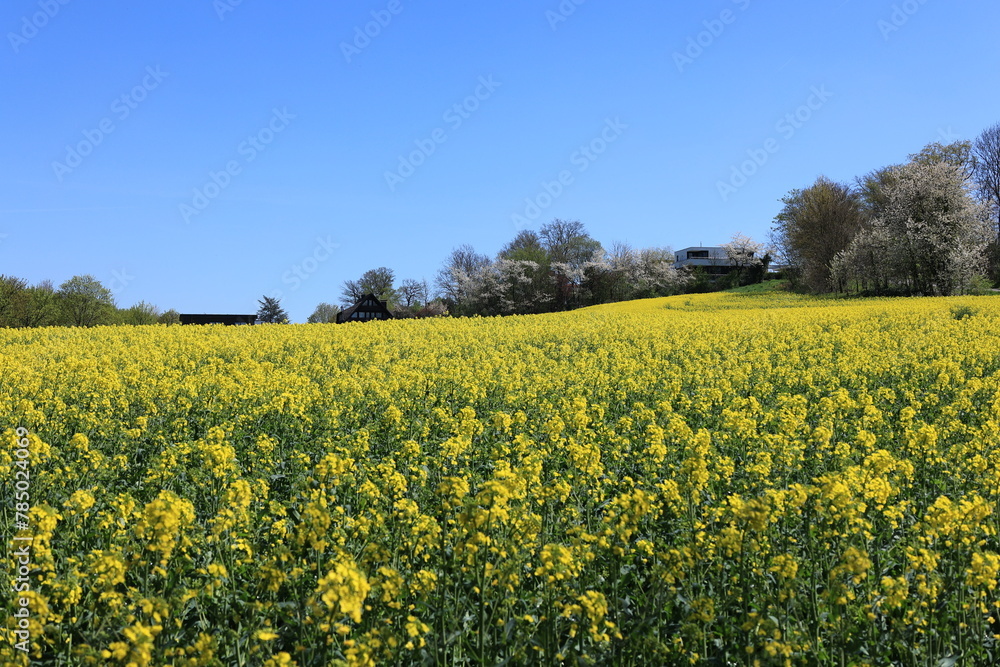 Frühlingslandschaft bei Schwerte in Nordrhein-Westfalen Frühlingslandschaft bei Schwerte in Nordrhein-Westfalen