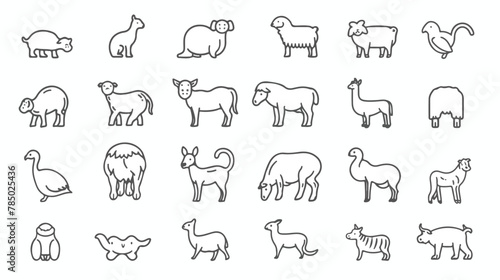Set of domestic and farm animals pets