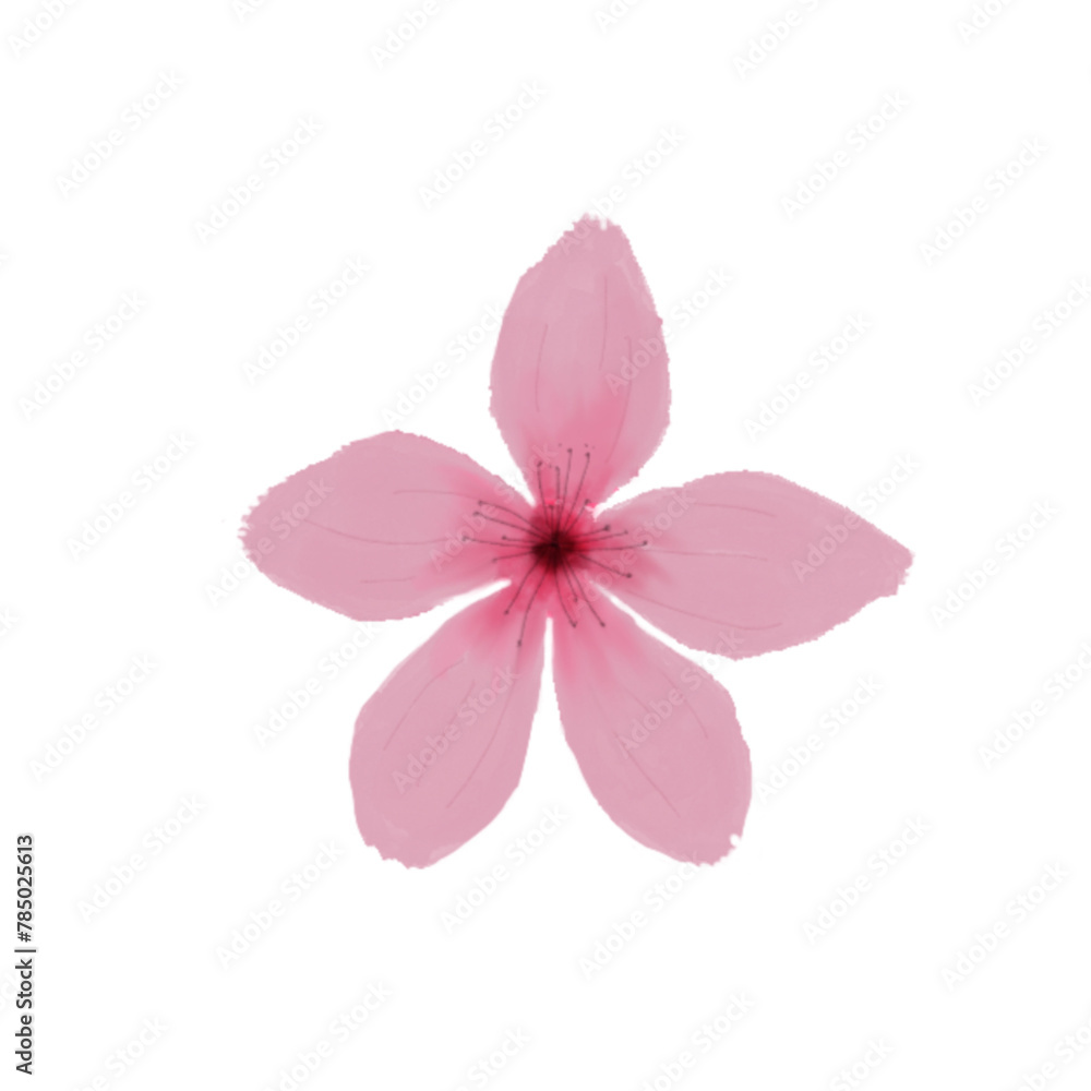 Obraz premium cherryblossom 