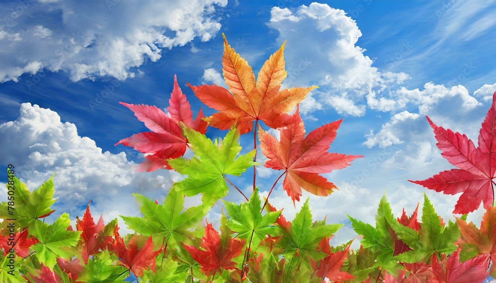 photorealistic,background, full colour maple small leaves on blue sky and beautiful clouds background