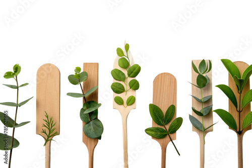 Row of Wooden Spoons With Green Leaves