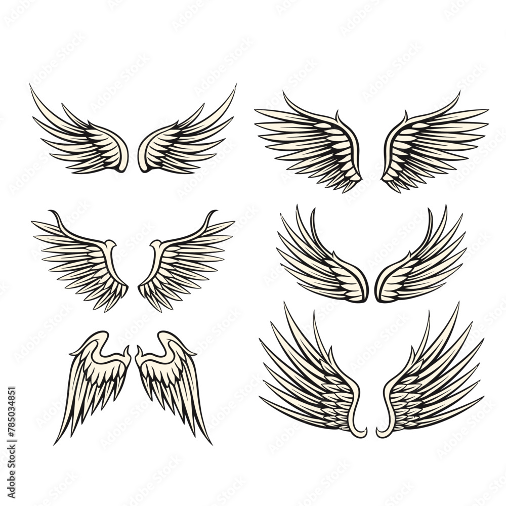 Illustration of wings collection set Illustration of wings collection set