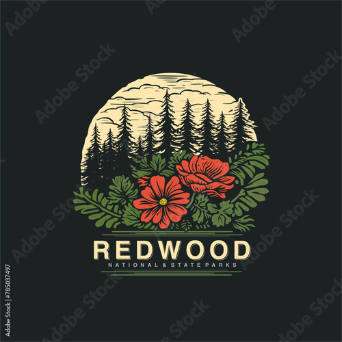 Emblem sticker patch logo illustration of Redwood National Park on dark background, forest vector badge