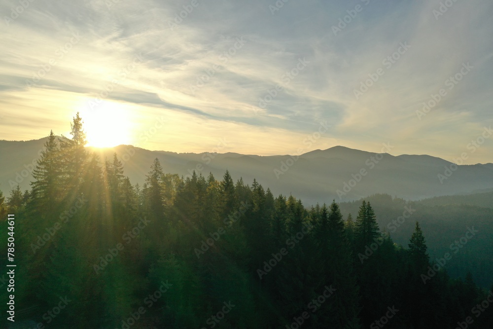 Aerial view of beautiful mountain landscape with green trees at sunrise
