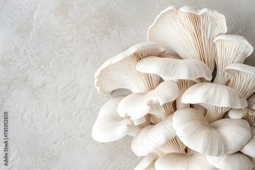 The Health Benefits and Nutritional Value of Fresh Oyster Mushrooms in a Comprehensive Visual Guide