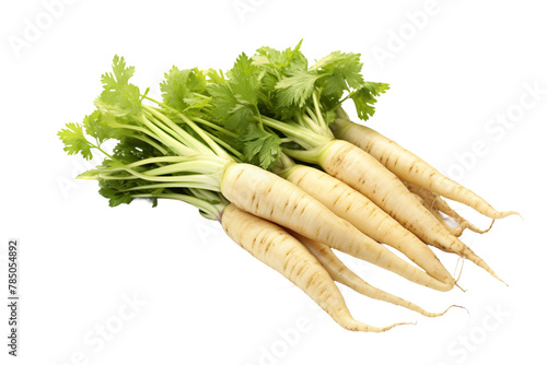 Whimsical Carrot Ballet: Vibrant Bunch of Carrots With Lush Green Tops on a Pure White Background. On White or PNG Transparent Background.