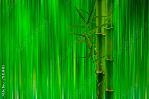 Fototapeta Naklejka Na Ścianę i Meble -  Abstrakte Bambusstäbe, hergestellt aus Kamera-Bewegung