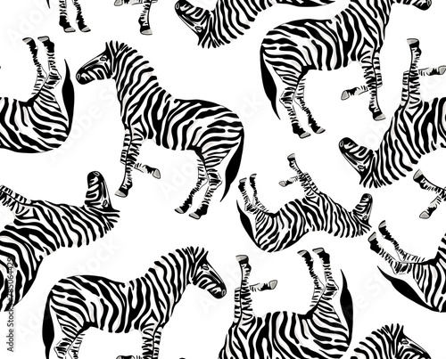 realistic zebra pattern design on white background