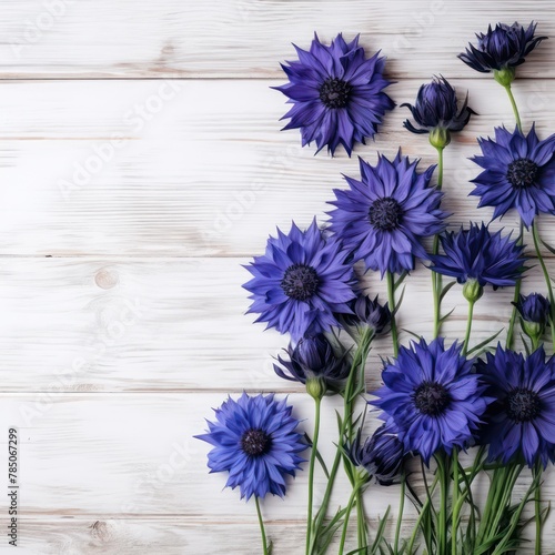 Beautiful black cornflower flowers on a white wooden background  in a top view with copy space for text