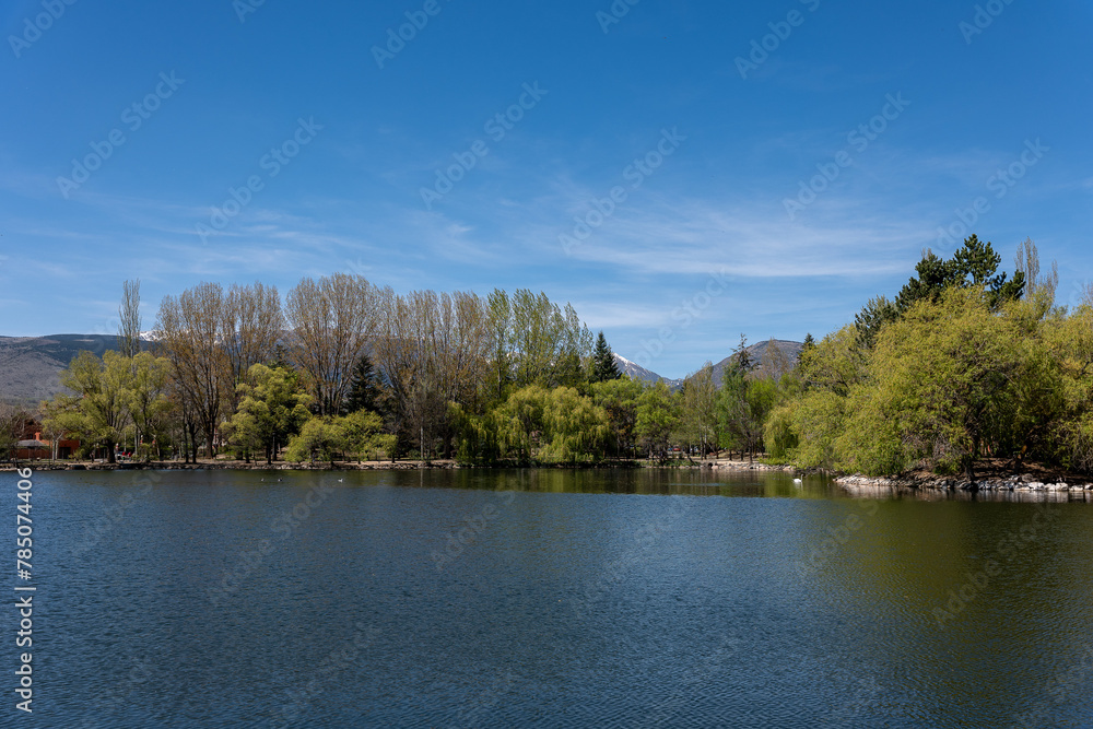 lake in the forest