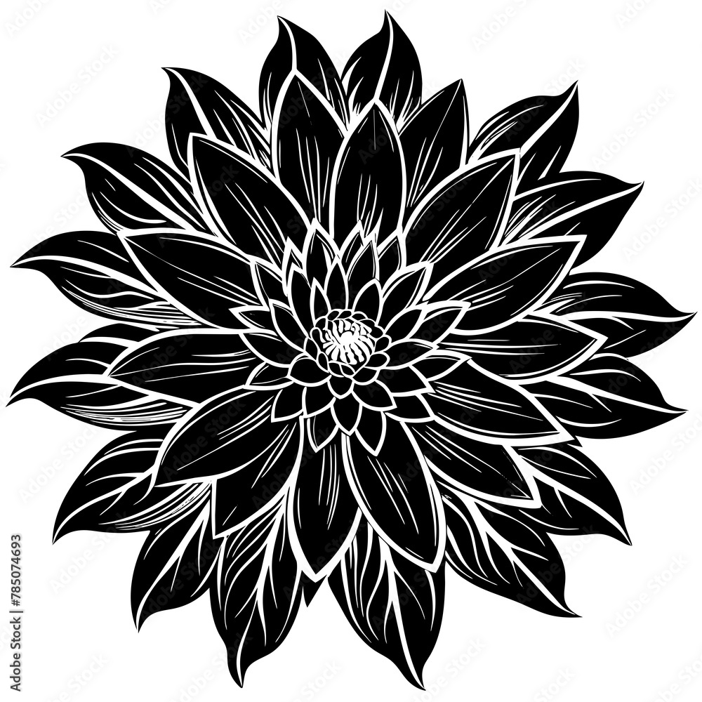 Flower vector illustration.
Flower vector illustration.