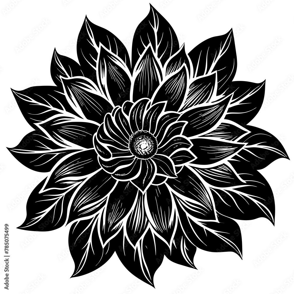 Flower vector illustration.
Flower vector illustration.