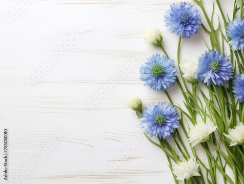 Beautiful indigo cornflower flowers on a white wooden background  in a top view with copy space for text