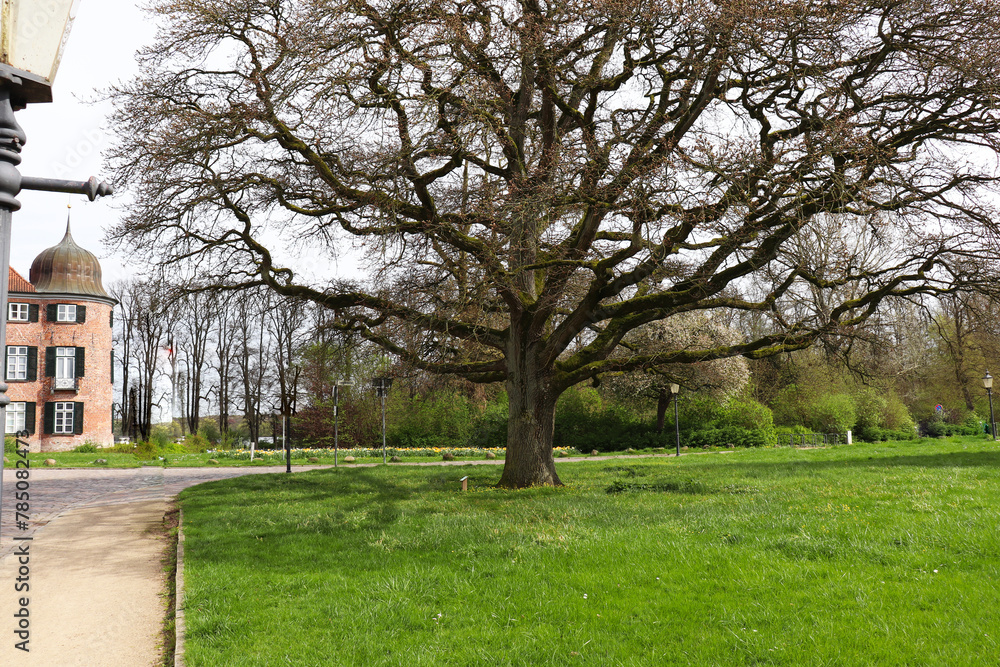beautiful corner of spring park with old trees and green grass beautiful corner of spring park with old trees and green grass