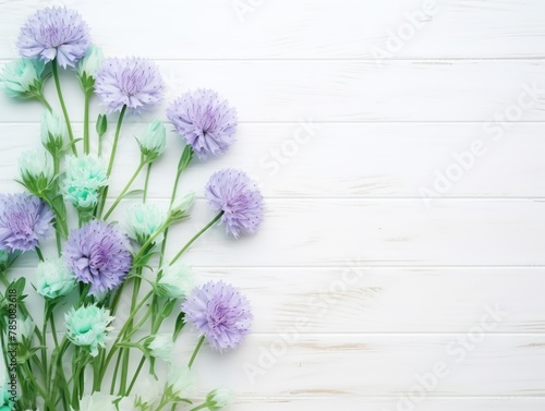 Beautiful mint green cornflower flowers on a white wooden background  in a top view with copy space for text. A flat lay composition