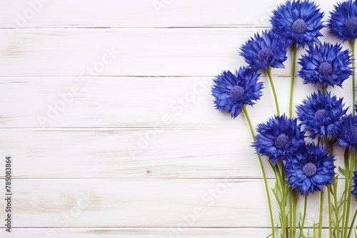 Beautiful navy blue cornflower flowers on a white wooden background  in a top view with copy space for text