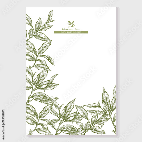 Green tea branch with leaves Border, frame, template for menu page, product label, cosmetic packaging. Vector illustration. In botanical style