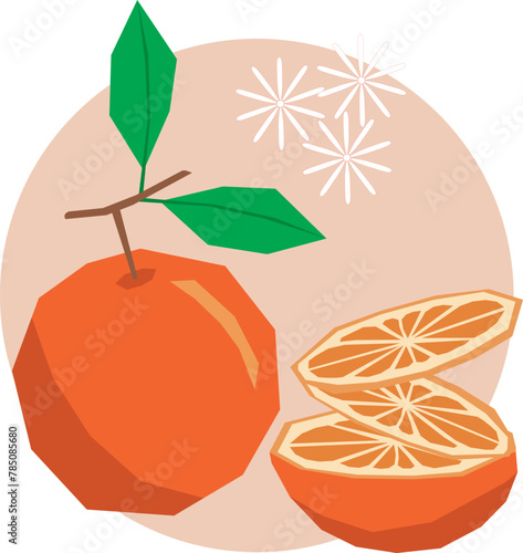 Illustration, Abstract orange fruit with leaf on soft orange circle background.