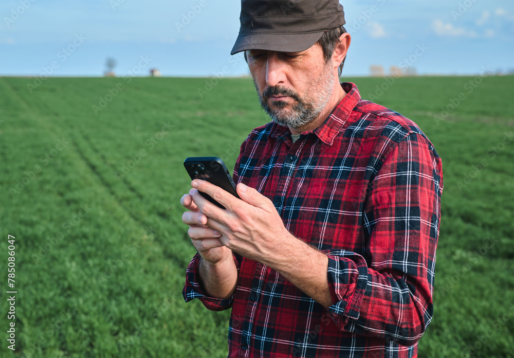 Farmer using mobile smartphone in wheat seedling field, smart farming concept Farmer using mobile smartphone in wheat seedling field, smart farming concept