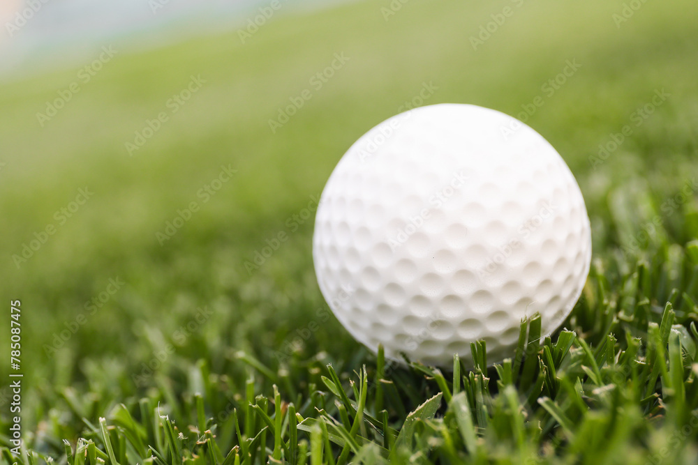 Fototapeta premium Game ball for playing golf on green grass