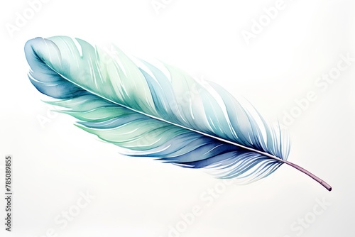 Beautiful bird feather isolated on white background. Hand drawn watercolor illustration. photo