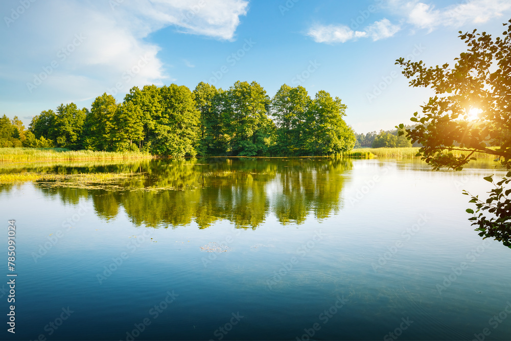 Impressive views of untouched wildlife and a magical lake on a sunny day.