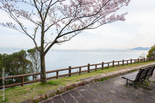 日本の桜風景 © Rika