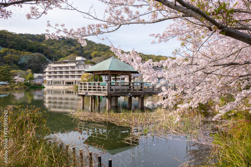 日本の桜風景