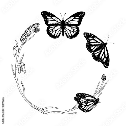 Butterfly Frame border Vector line art. Circle wreath drawing. Hand drawn of metamorphosis. Black outline illustration of flying insects. Nature life cycle transformation sketch. Background for text