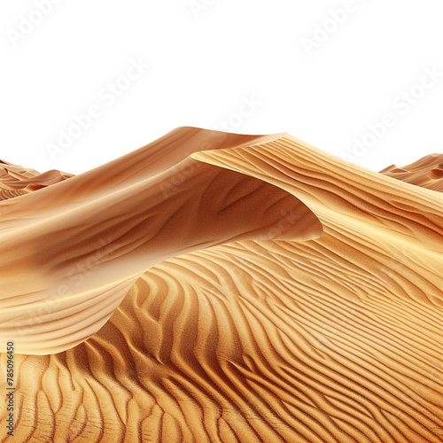 desert isolated on white background. 