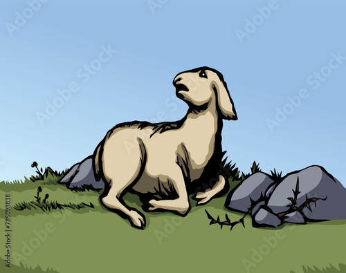 Vector drawing. The sheep got lost in the field