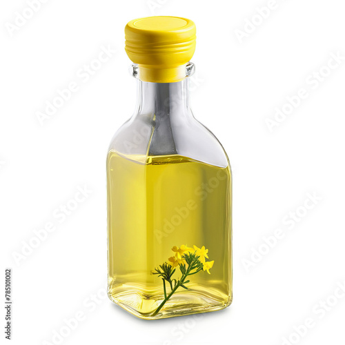 Canola oil in a clear glass bottle with a single canola flower on a transparent © panophotograph