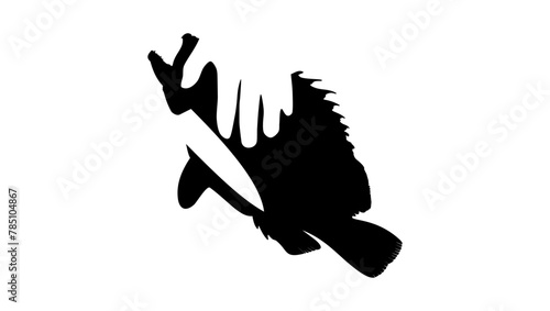 cutting fish, black isolated silhouette