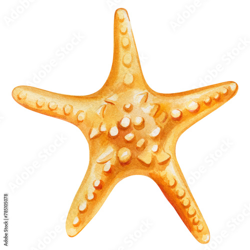 Starfish on isolated white background, watercolor illustration seashell hand drawing painting, summer sea clipart