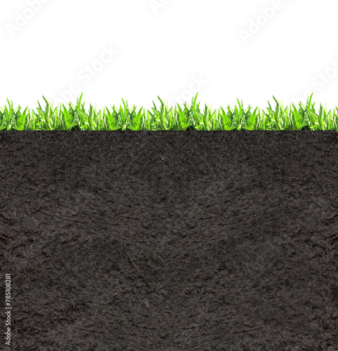 Environmental and conservation protection background. Cross section of grass and soil. Side view of black ground and green grass. Copy space for text. Isolated on white background