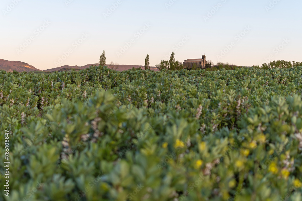 Virgen del Camino de Badostain Hermitage behind the cultivated fields. Blur foreground