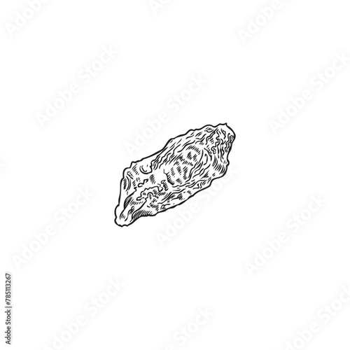 Botanical vector illustration  hand-drawn  a black and white freeze-dried goji berry e icon on a white background