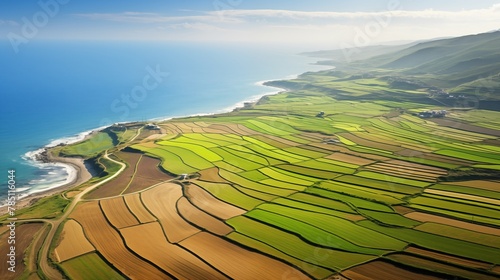 Coastal farming extends fields to sandy shores, blending agriculture with the coastal landscape, where land meets sea in a harmonious embrace.
