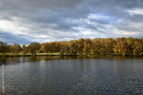 Musselburgh Lagoons. A serene autumn landscape painting with vibrant yellow leaves and a calm body of water. Cloudy sky adds depth, while a dock invites peaceful strolls.