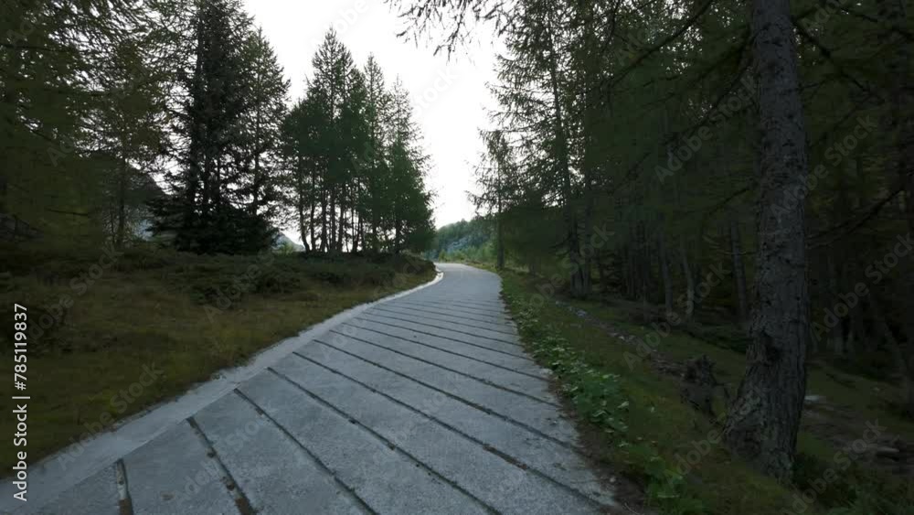 POV walking on paved nature trail through forest, peaceful journey hiking path