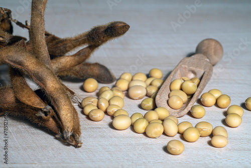 Fototapeta Naklejka Na Ścianę i Meble -  Pouring Soybeans from wooden spoon on white background.