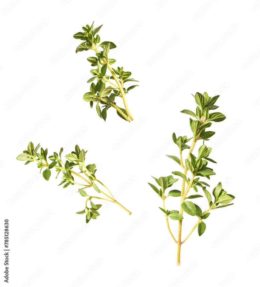 Fresh green thyme herb falling in the air isolates on white background Fresh green thyme herb falling in the air isolates on white background