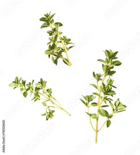 Fresh green thyme herb falling in the air isolates on white background