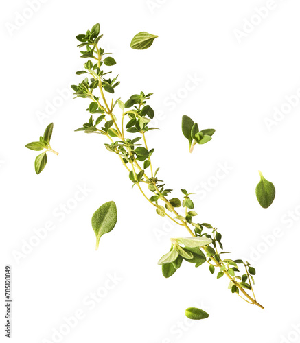 Fresh green thyme herb falling in the air isolates on white background